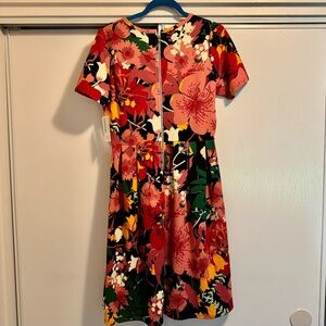 LuLaRoe Amelia Dress